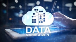 Data Management Data Management